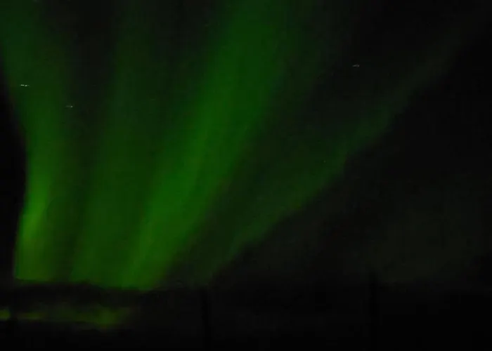 Havuille * Rovaniemi